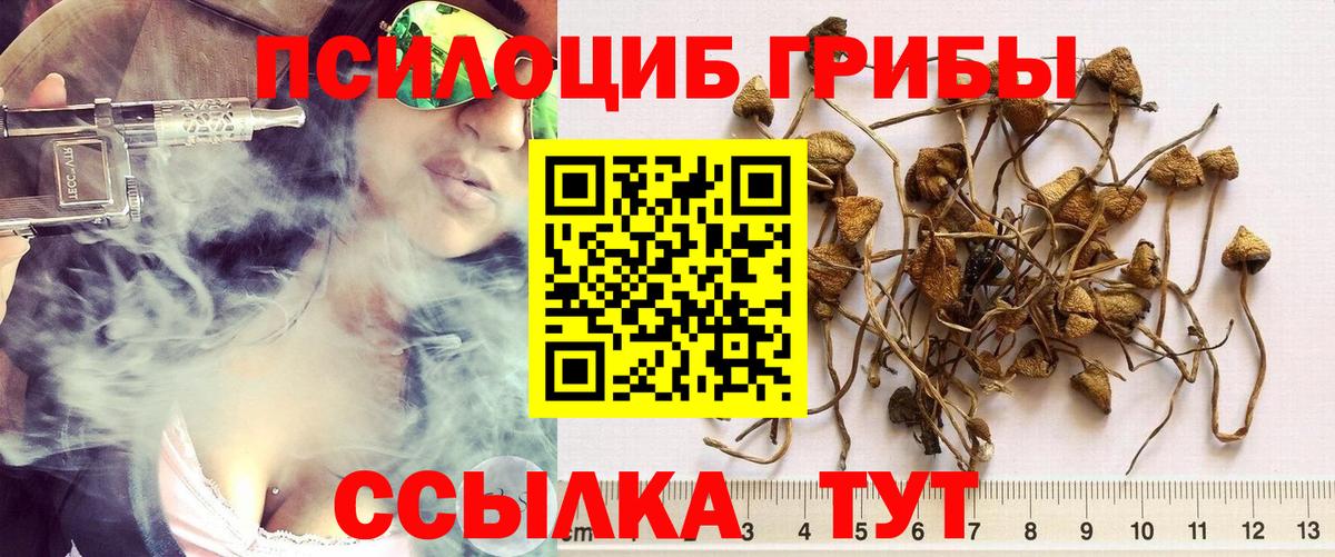 Псилоцибиновые грибы MAGIC MUSHROOMS  Псилоцибиновые грибы Cubensis  Вход с VPN  Алапаевск 